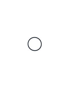 O-Ring für Gehäuse Zu- und Saugleitung