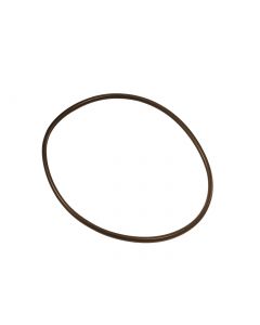 O-Ring für DN125 bis 160°C (172,0x6,0)