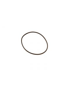 O-Ring für DN65 bis 160°C (100,0x5,0)